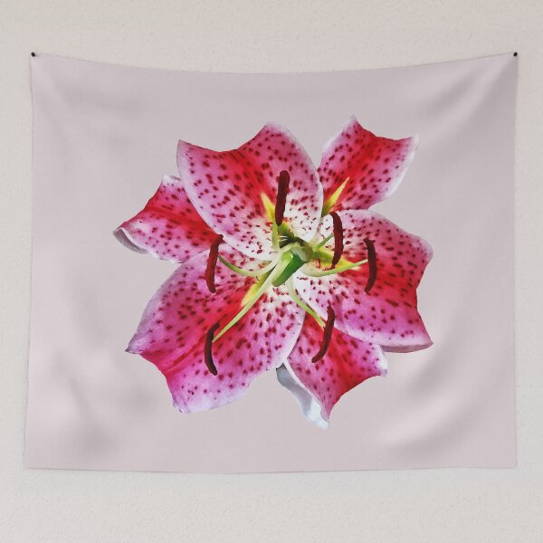 Item preview, Stargazer Lily Closeup designed and sold by Susan Savad.