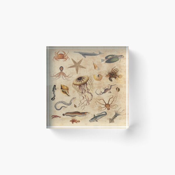 Item preview, Marine Biology Gift - Vintage Theme Design designed and sold by Siva Sakthi.