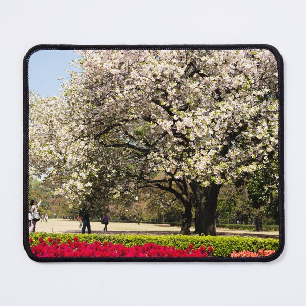 Item preview, Tokyo in Bloom, Sakura, Japan designed and sold by Norman Repacholi | Keystone Photography.