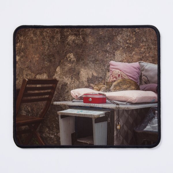 Item preview, Sleeping cat in the streets of Lisbon - photo designed and sold by CineWanderlust.