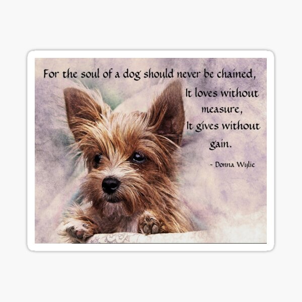 The Soul of a Dog - Yorkie Sticker