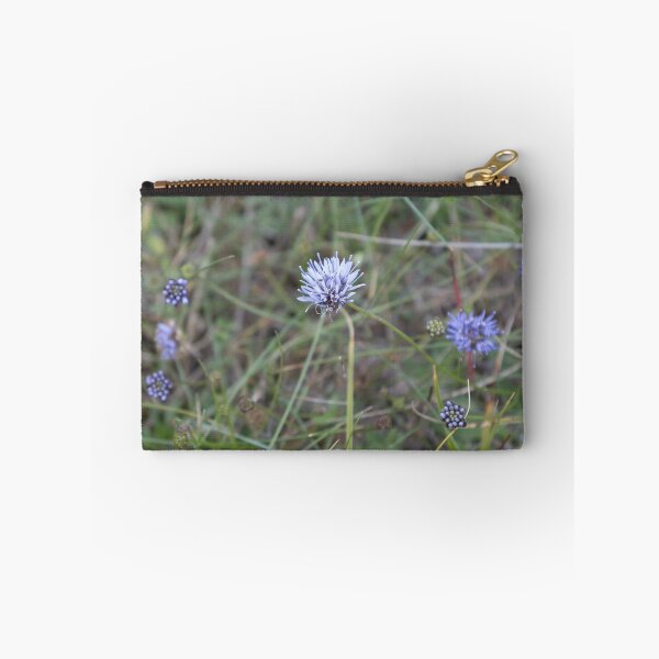 Item preview, Blue Daisy, designed and sold by Calidris Fotografie Steffi & Ben Köppler.