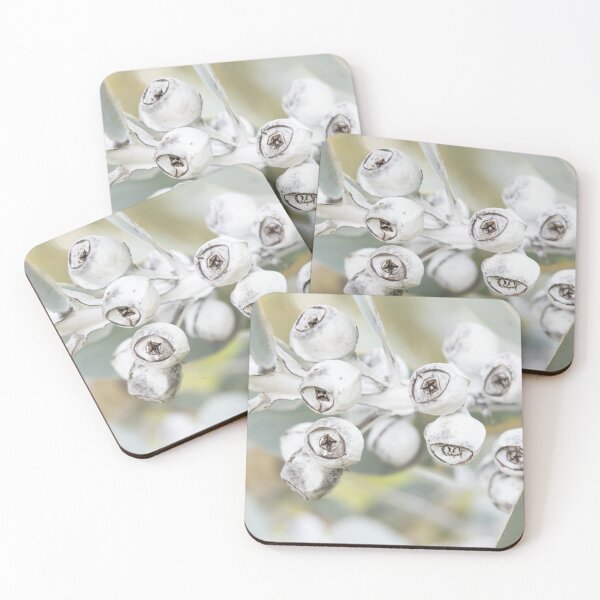 Item preview, Pretty White Gum Nuts designed and sold by imaginethis.