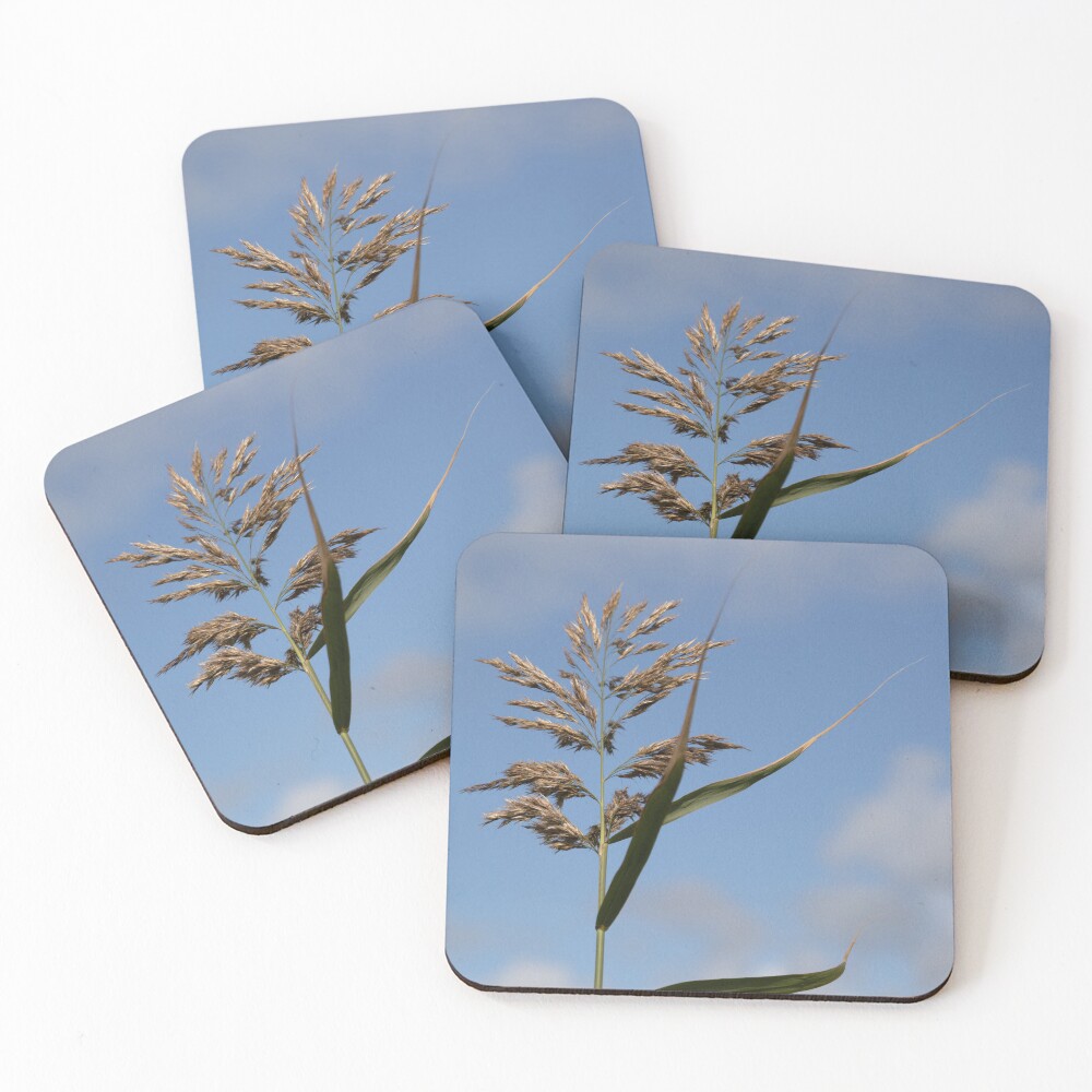 Item preview, Coasters (Set of 4) designed and sold by steffik.