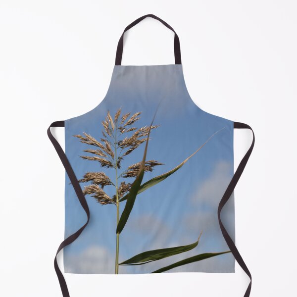 Item preview, Common Reed designed and sold by Calidris Fotografie Steffi & Ben Köppler.