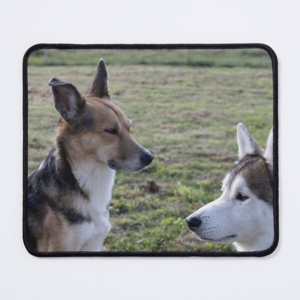 Item preview, Two Dogs designed and sold by Calidris Fotografie Steffi & Ben Köppler.