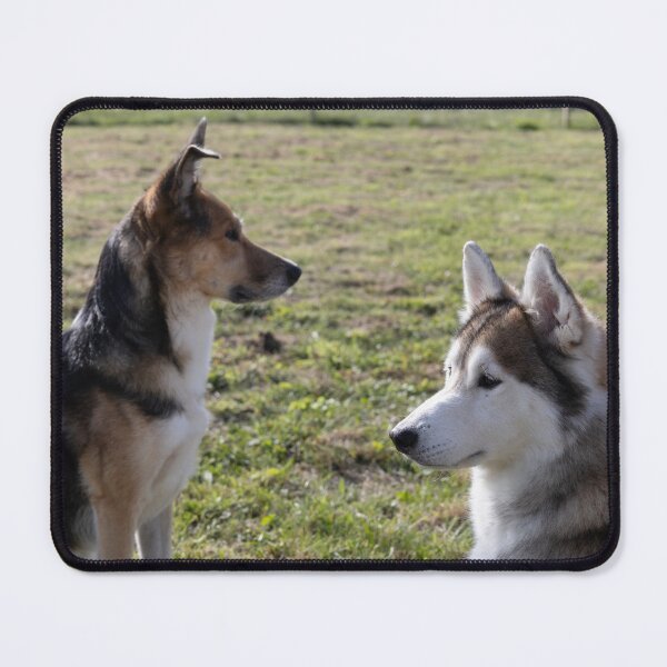 Item preview, Two Dogs designed and sold by Calidris Fotografie Steffi & Ben Köppler.