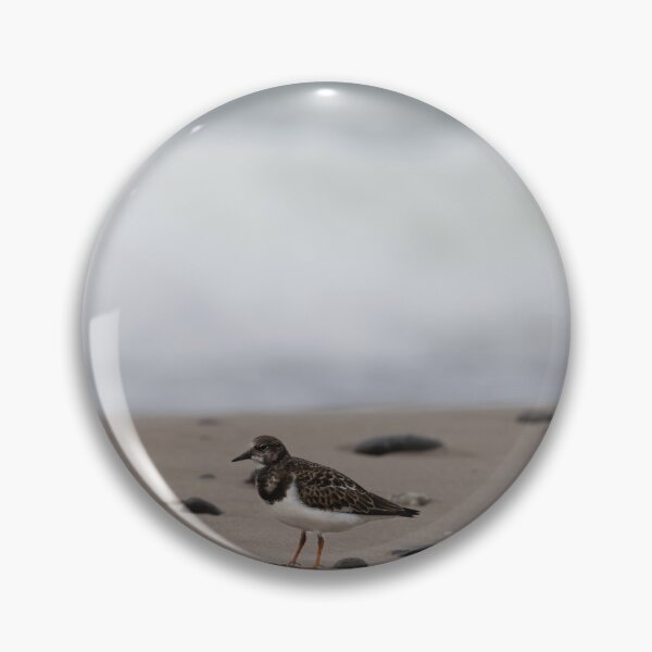 Item preview,  Ruddy Turnstone designed and sold by Calidris Fotografie Steffi & Ben Köppler.
