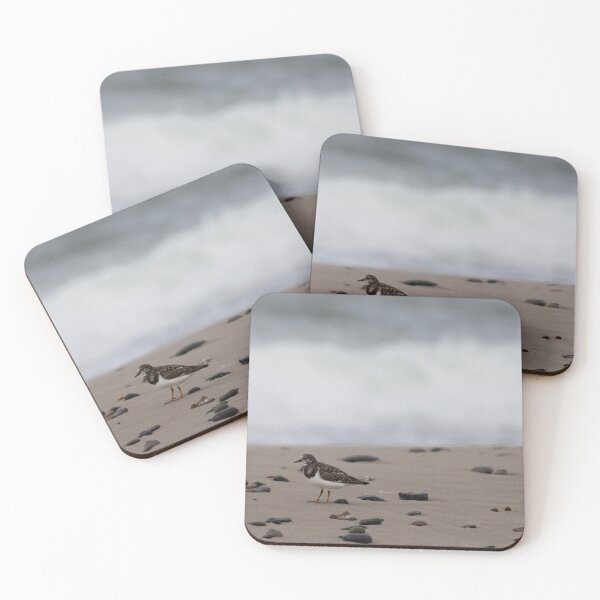Item preview,  Ruddy Turnstone designed and sold by Calidris Fotografie Steffi & Ben Köppler.