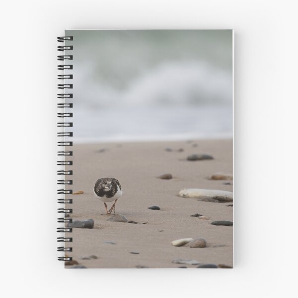 Item preview, Ruddy Turnstone designed and sold by Calidris Fotografie Steffi & Ben Köppler.