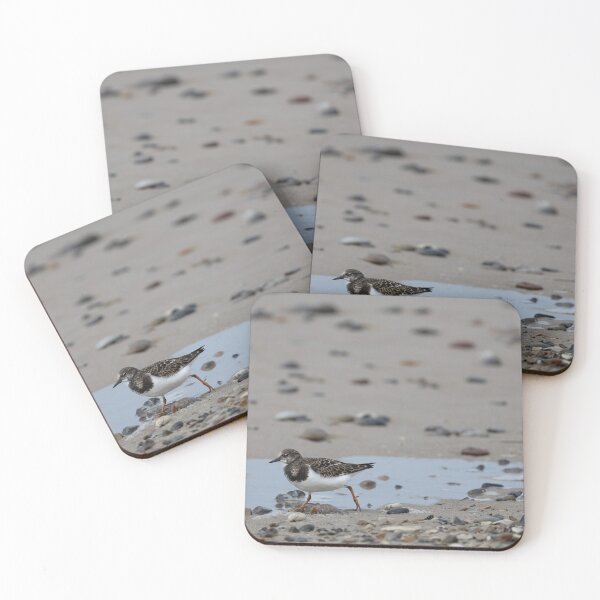 Item preview, Ruddy Turnstone designed and sold by Calidris Fotografie Steffi & Ben Köppler.