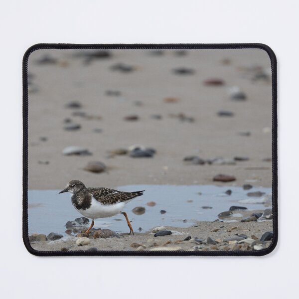 Item preview, Ruddy Turnstone designed and sold by Calidris Fotografie Steffi & Ben Köppler.