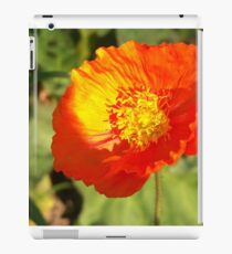 Flame iPad Case/Skin