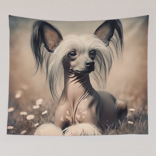 Item preview, Photo Chinese Crested Dog designed and sold by Kikus31.