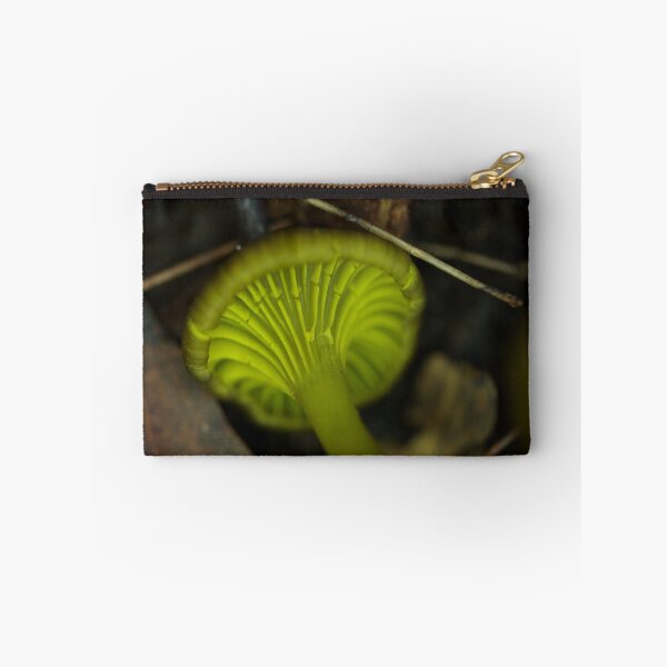 Item preview, Galston Glower designed and sold by Helena Bolle.