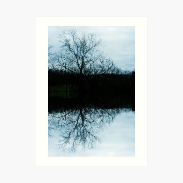 Reflection Art Print