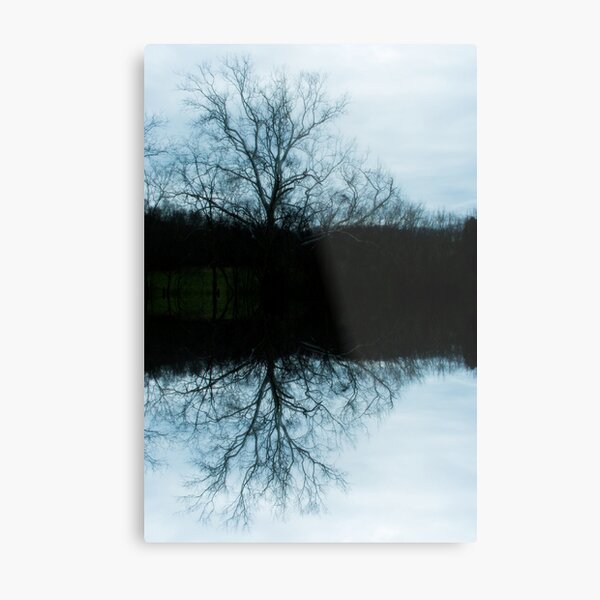 Reflection Metal Print