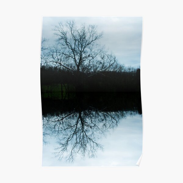 Reflection Poster