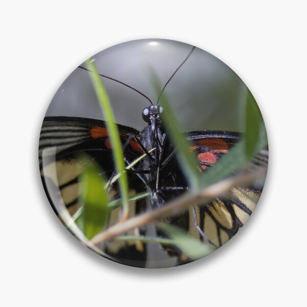 Item preview, Extra Wide Butterfly designed and sold by seven11photos.