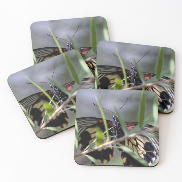 Item preview, Extra Wide Butterfly designed and sold by seven11photos.