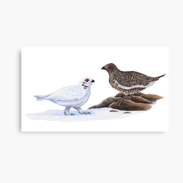 Item preview, Ptarmigan designed and sold by Chouetteplanete.