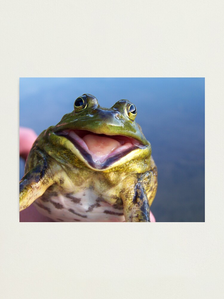 Load of Bull-frog Photograph by Warren Photographic - Pixels