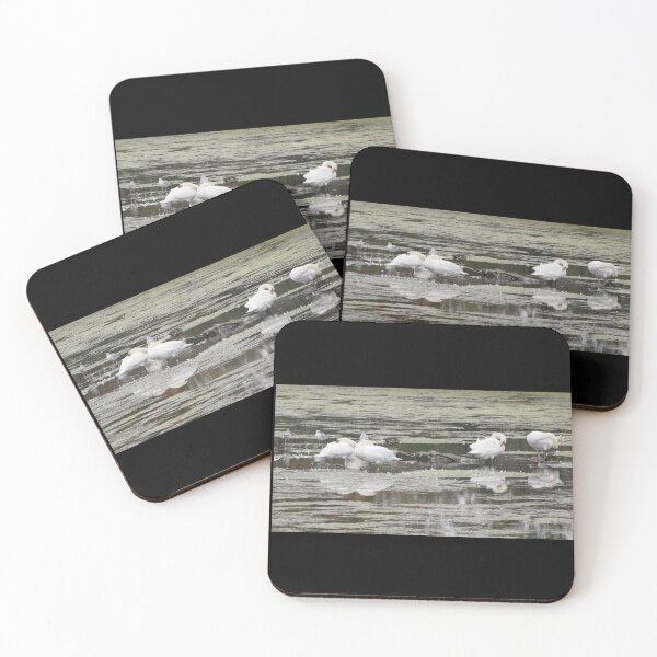 Item preview, Swans Stillife designed and sold by ArtOfE.