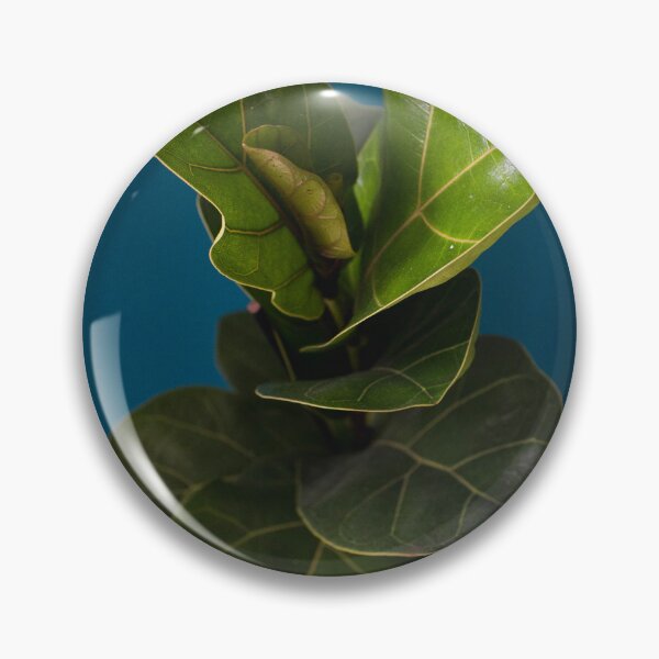 Item preview, Fiddle leaf fig designed and sold by Thxvvxtchx.
