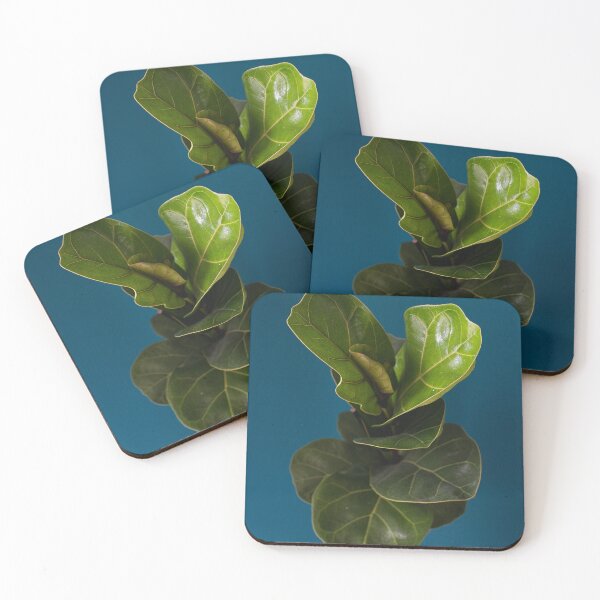 Item preview, Fiddle leaf fig designed and sold by Thxvvxtchx.