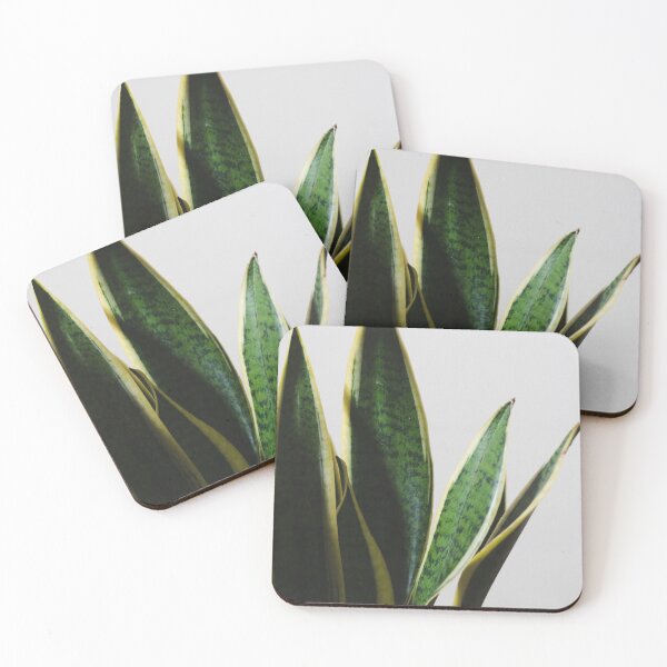 Item preview, Snake plant  designed and sold by Thxvvxtchx.