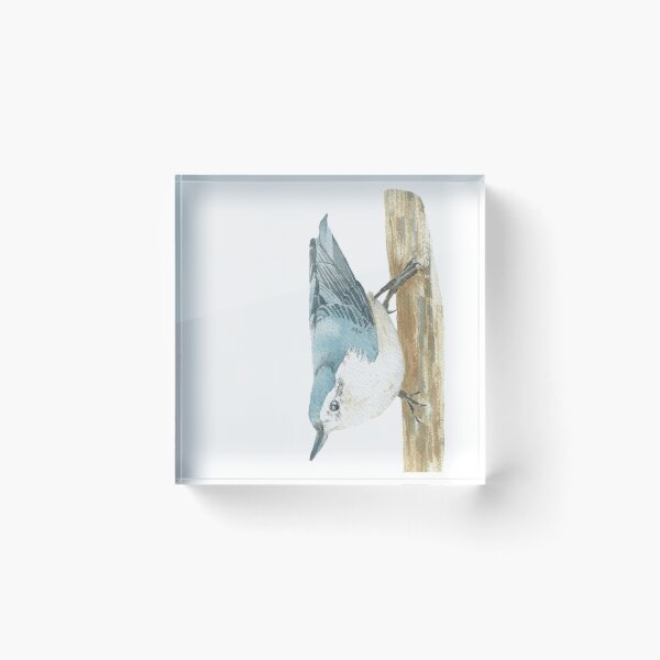 Item preview, white-breasted nuthatch bird portrait designed and sold by L'Atelier Oranjade.