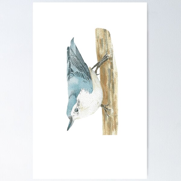 Item preview, white-breasted nuthatch bird portrait designed and sold by L'Atelier Oranjade.