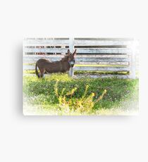 eeyore Canvas Print
