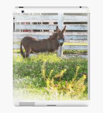 eeyore iPad Case/Skin