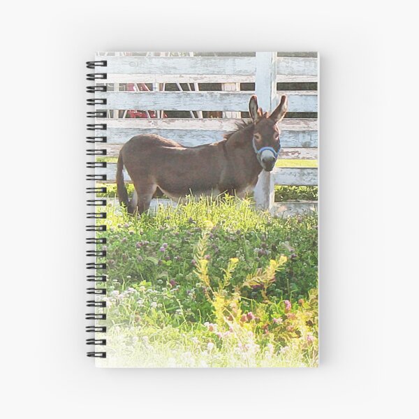 eeyore Spiral Notebook