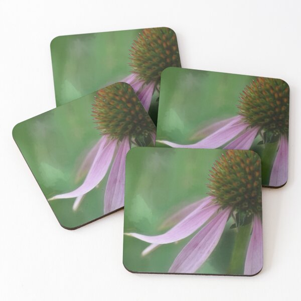Item preview, cone flower beauty designed and sold by Heather Buechel.