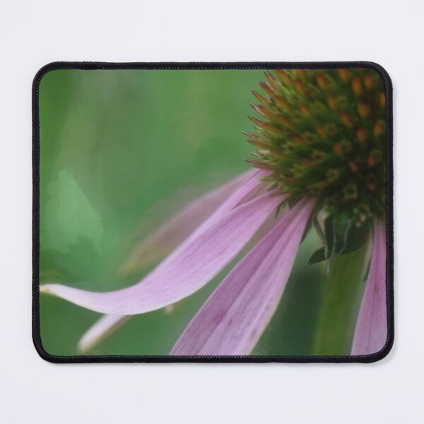 Item preview, cone flower beauty designed and sold by Heather Buechel.