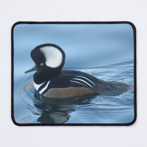 Item preview, Male Hooded Merganser Duck Reflection designed and sold by naturegallery.