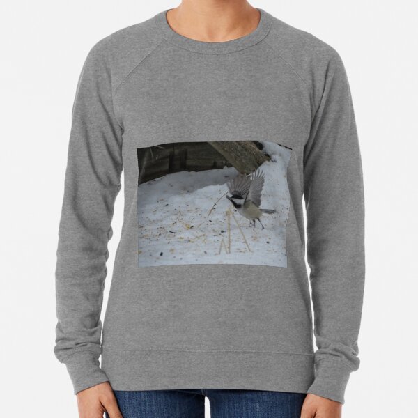 Untitled Lightweight Sweatshirt