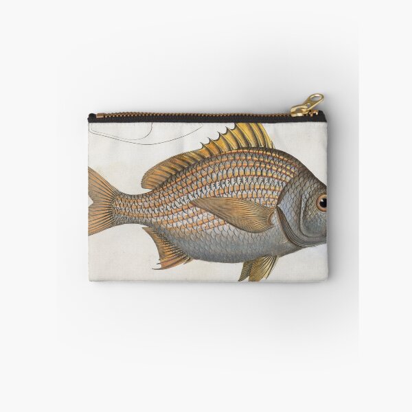 Item preview, Vintage Illustration of an Yellow-Fin Grunt (1785) designed and sold by BravuraMedia.