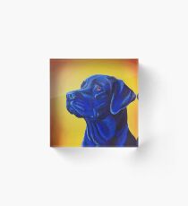 Labrador Retriever Acrylic Block