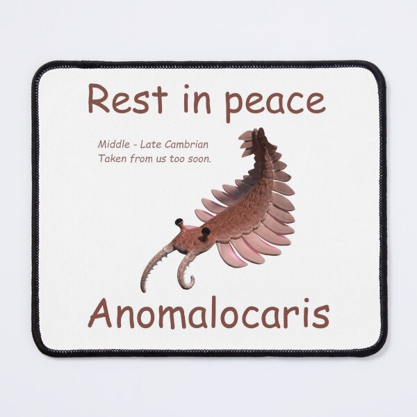 Item preview, RIP Prehistoric shrimp Anomalocaris designed and sold by molecularmavis.