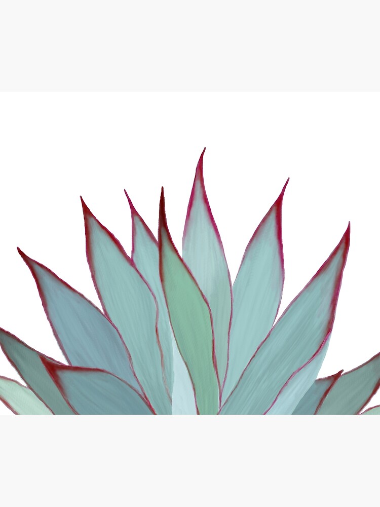 Elegant Agave Fringe Illustration by oursunnycdays