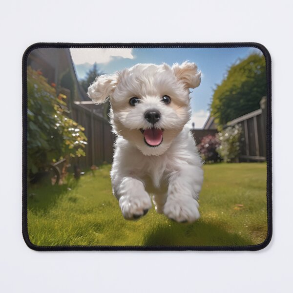 Item preview, Bichon's Bouncing Euphoria designed and sold by codestealth.