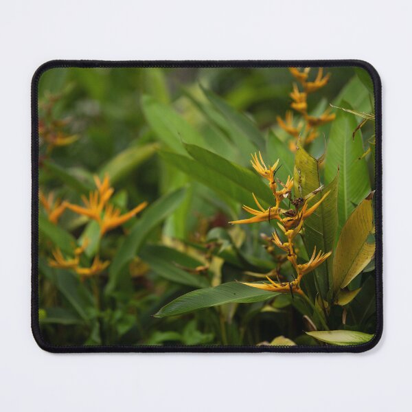 Item preview, Heliconias designed and sold by Black-Moon-Art.
