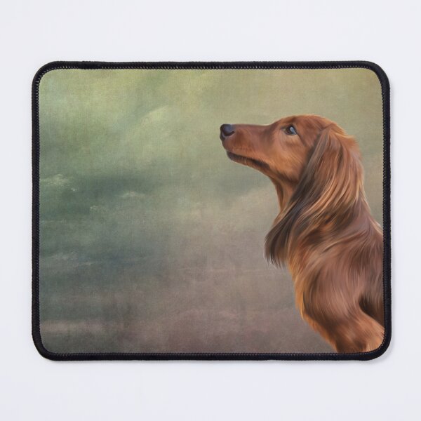 Item preview, Dog breed long haired dachshund portrait oil painting designed and sold by bonidog.