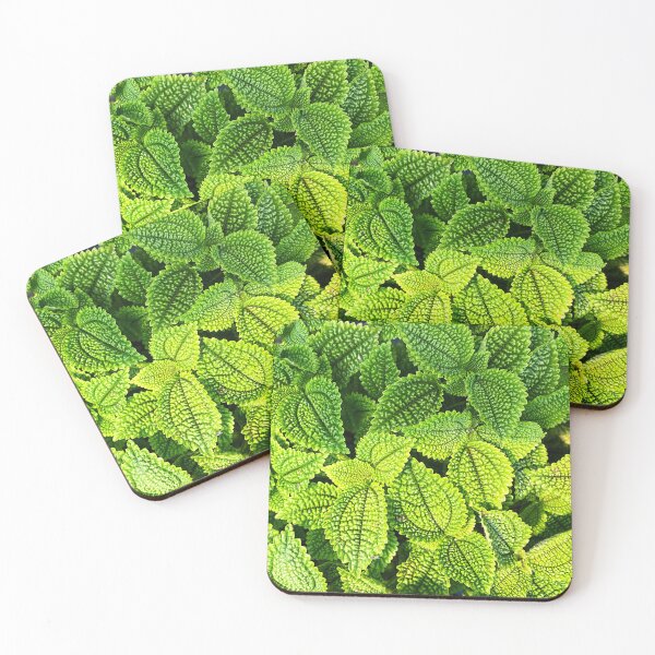 Item preview, Textured Leaves designed and sold by Lee Darnell.