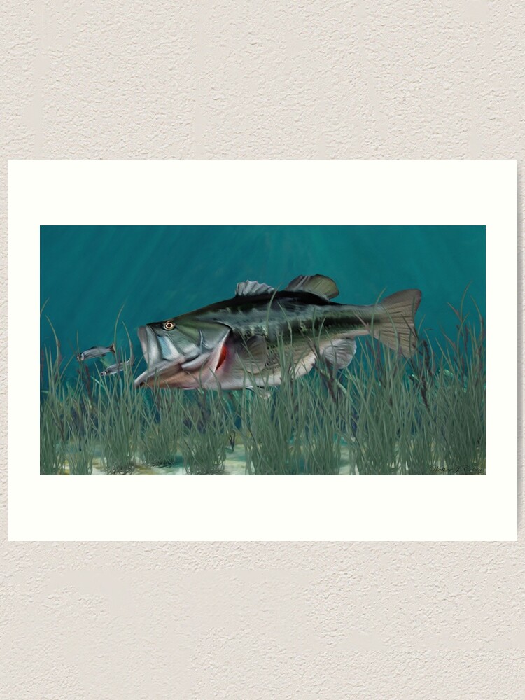 Largemouth Bass Chasing Minnows | Framed Art Print