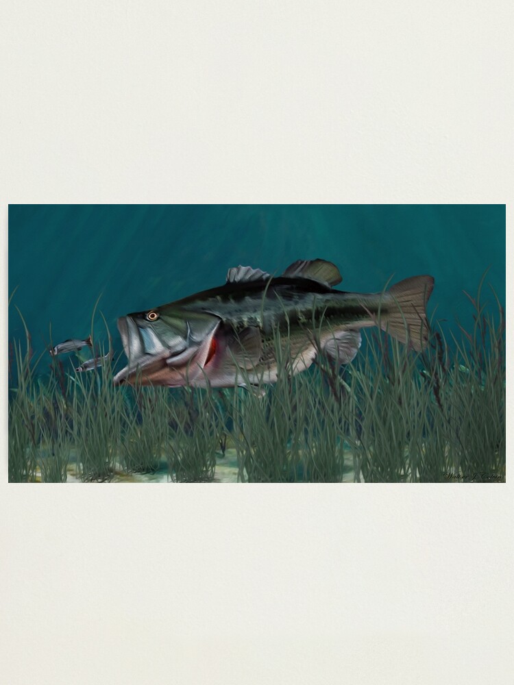 Largemouth Bass Chasing Minnows | Tote Bag