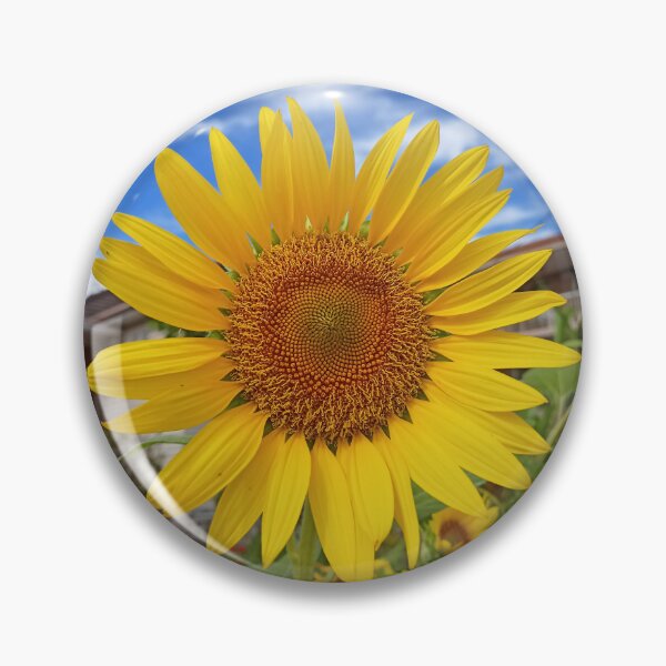 Item preview, Brighten your Day with this Gorgeous Yellow Sunflower with Blue Sky designed and sold by jaynerushton.